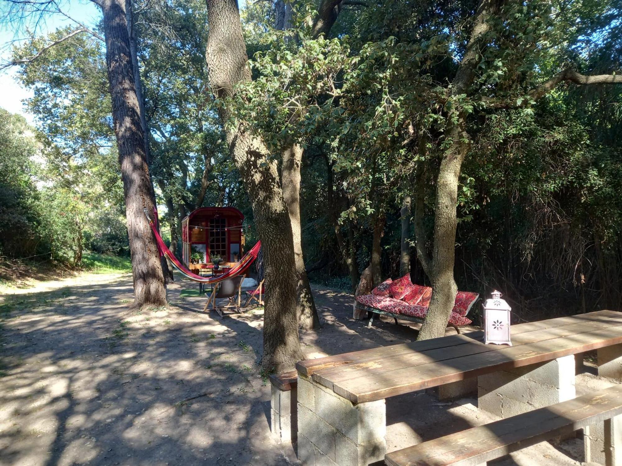 La Roulotte Du Petit Paradis Saint-Rémy-de-Provence Kültér fotó