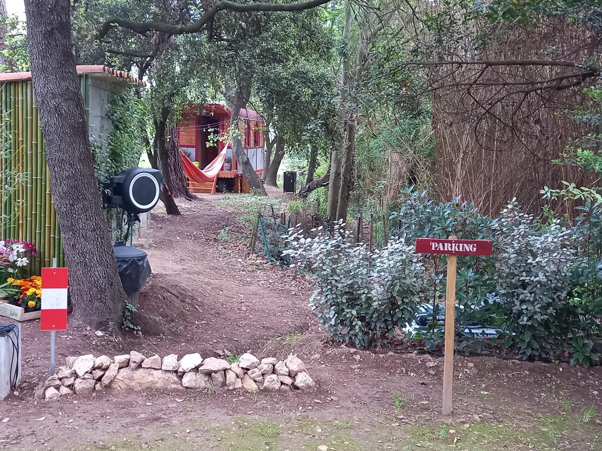 La Roulotte Du Petit Paradis Saint-Rémy-de-Provence Kültér fotó