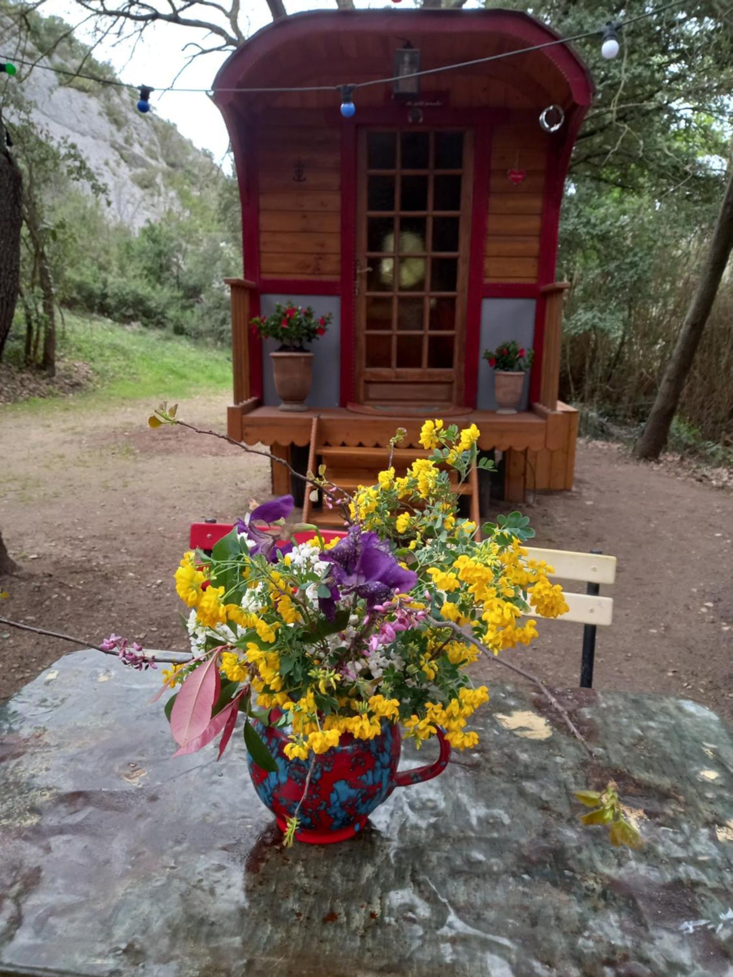 La Roulotte Du Petit Paradis Saint-Rémy-de-Provence Kültér fotó