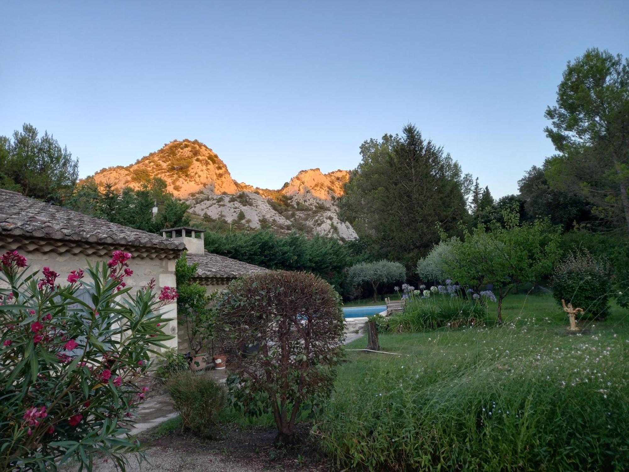 La Roulotte Du Petit Paradis Saint-Rémy-de-Provence Kültér fotó