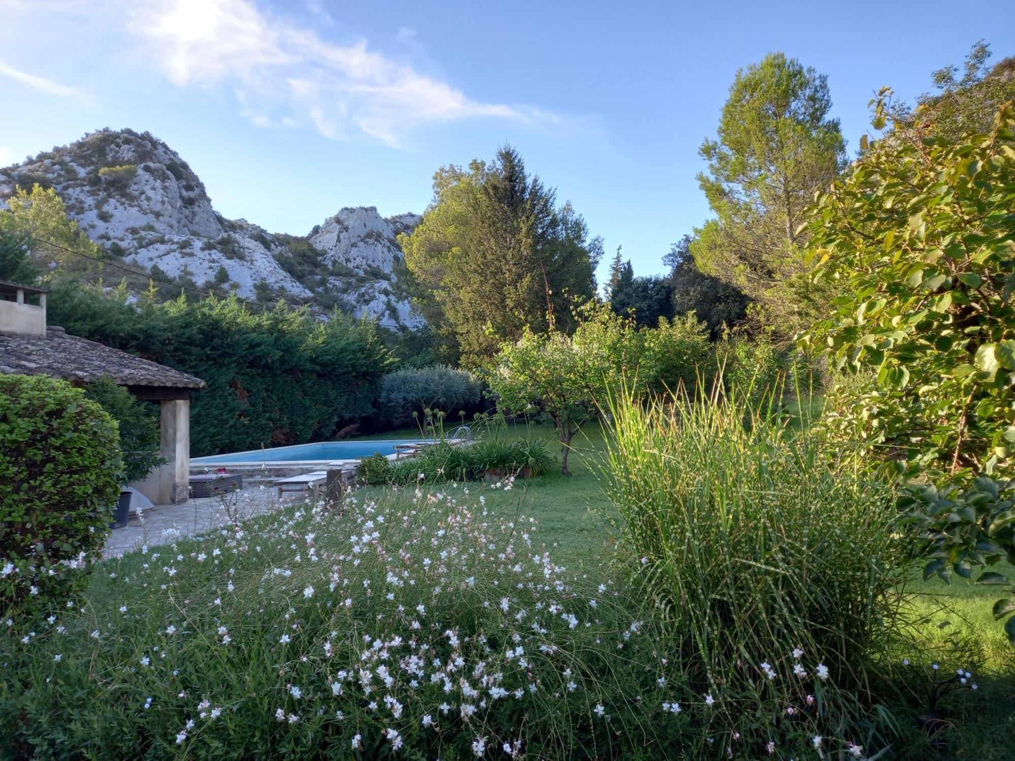 La Roulotte Du Petit Paradis Saint-Rémy-de-Provence Kültér fotó