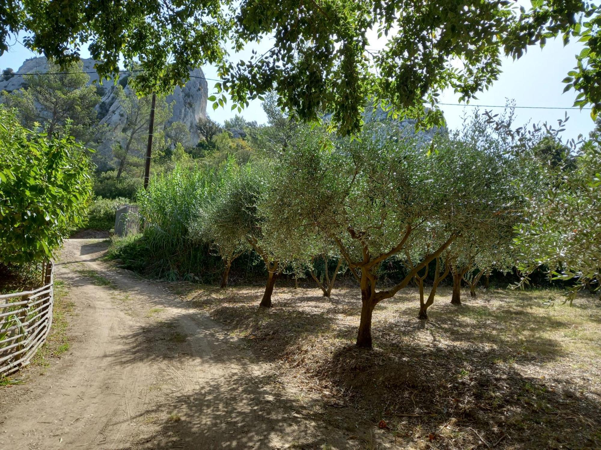 La Roulotte Du Petit Paradis Saint-Rémy-de-Provence Kültér fotó