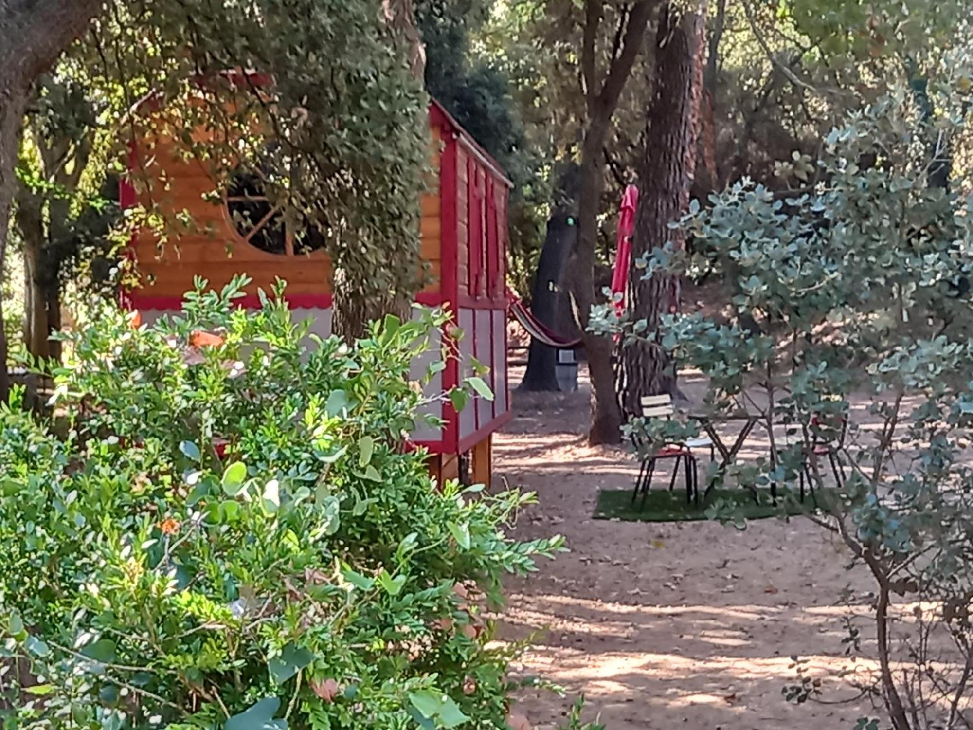 La Roulotte Du Petit Paradis Saint-Rémy-de-Provence Kültér fotó