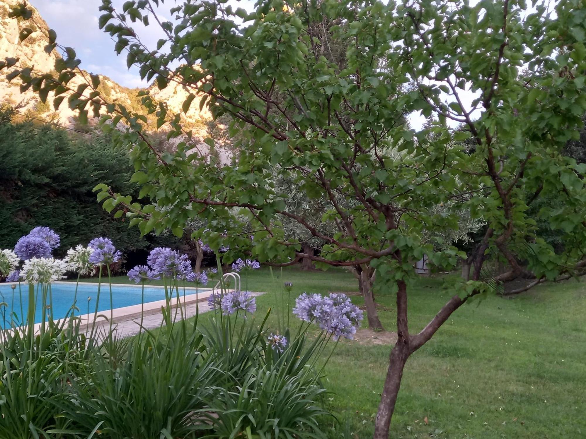 La Roulotte Du Petit Paradis Saint-Rémy-de-Provence Kültér fotó